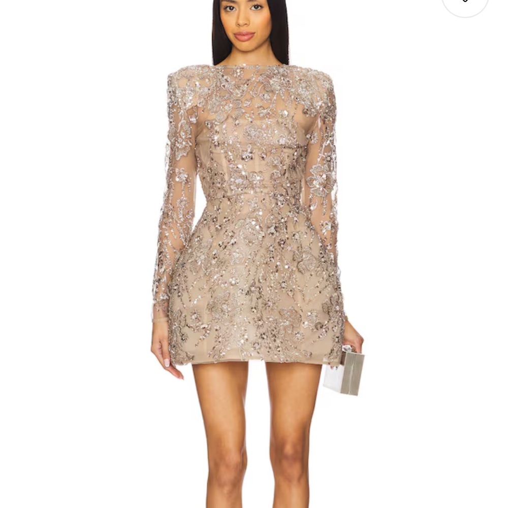 Bronx and Banco Nude-silver  Embellished Sheer-Sleeve Mini Dress